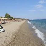 Malvazios #6 *